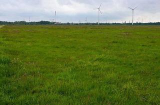 Gewerbeimmobilie kaufen in 28719 Blockland, Grundfutter- und Beweidungsflächen, bestehend aus insgesamt drei Flurstücken (Teilerwerb möglich)