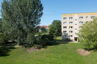 Wohnung mieten in Bernhard-Kretzschmar-Weg, 04720 Döbeln, 1 Raum Wohnung mit Dusche