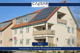 Wohnung mieten in 68647 Biblis, 3,5 -Zimmer Dachgeschoß - Wohnung, barrierearm, und energiesparend