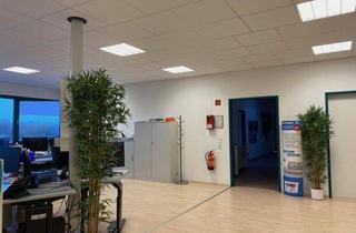 Gewerbeimmobilie mieten in 24576 Weddelbrook, *Moderne Büroflächen auf 440 qm in Weddelbrook zu vermieten, mit Option auf zusätzlich ca. 800 qm Lagerfläche !!!*