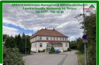 Wohnung mieten in Mahlaweg 14, 04860 Torgau, NEU SANIERTE 3 ZKB IN FABRIKANTEN-VILLA * IDYLLISCH IN GRÜNER SACKGASSE * BESICHTIGUNGSVIDEO * KEIN DURCHGANGSVERKEHR * GROßER KLEINGARTEN u STELLPLATZ AM HAUS * MITTEN IN TORGAU * VINYLBODEN * 35 M² GROßER WOHNBEREICH * BAD MIT WANNE *