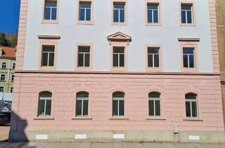 Wohnung mieten in Talstr. 89, 01662 Meißen, Gemütliche 2-Raum-Wohnung mit Terrasse *komplett neu saniertes Haus*