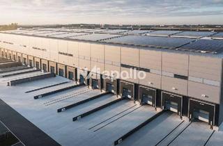 Gewerbeimmobilie mieten in 65239 Hochheim, ! Bis zu 40.000 m² Logistikflächen ☆ bis zu 40.000 m² ☆ hochwertig ☆ individuelle Ausstattung !