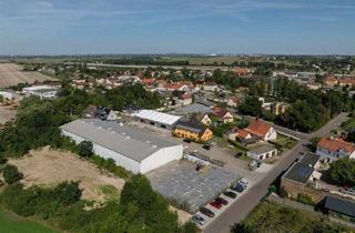 Gewerbeimmobilie mieten in 06184 Kabelsketal, Vermietung einer attraktiven Hallenfläche 250 m² + 2 Freiflächen (2500m²) Nutzungsart auf Anfrage