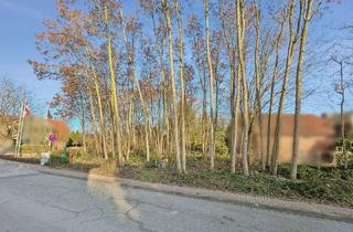 Grundstück zu kaufen in 23829 Wittenborn, Großzügiges Baugrundstück mit flexiblen Möglichkeiten und optimaler Verkehrsanbindung in Wittenborn