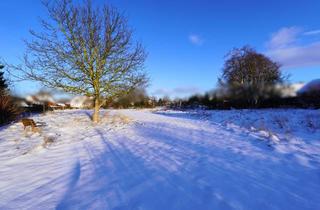 Grundstück zu kaufen in 38159 Vechelde, Entwicklungsgrundstück in Vechelde-Sierße – Wohnprojekt mit bis zu 16 Einheiten