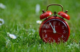 Grundstück zu kaufen in 85049 Friedrichshofen, Großes Bauträgergrundstück in Friedrichshofen zu verkaufen