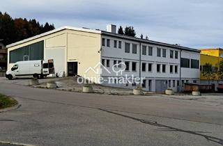Gewerbeimmobilie kaufen in 94518 Spiegelau, Gebäudeobjekt mit Rendite