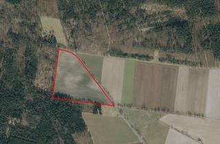 Immobilie kaufen in 31311 Uetze, Uetze Schwüblingsen - Fruchtbares Ackerland – Ideal für Landwirtschaft und Investition!