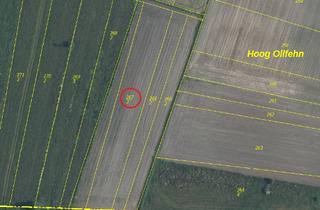 Grundstück zu kaufen in 26810 Westoverledingen, Westoverledingen - Bieterverfahren: kleine Ackerfläche in Westoverledingen