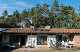 Einfamilienhaus kaufen in 29482 Küsten, Küsten - Stilvoller Bungalow in ruhiger Waldrandlage Pool Carport Garage