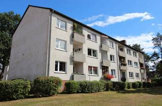 Wohnung mieten in Eichendorffstr. 44, 29640 Schneverdingen, Geräumige 2 -Zimmerwohnung mit Balkon in der Heideblütenstadt -von privat-