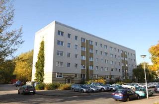 Wohnung mieten in Albert-Schweitzer-Strasse, 17036 Neubrandenburg, Schöne 2-Raum-WE nahe dem Klinikum