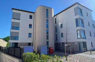 Wohnung mieten in Bahnhofstr. 24, 33161 Hövelhof, Moderne 2,5 Zimmer Wohnung in zentraler Lage von Hövelhof