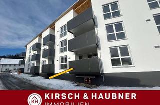 Wohnung mieten in 92358 Seubersdorf, Neubau-Erstbezug! 4-Zimmer-Wohnung - Die Alternative zum Haus Seubersdorf - Zentral