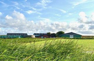Haus kaufen in 25881 Tating, Hof in Alleinlage am Deichvor St. Peter Ording