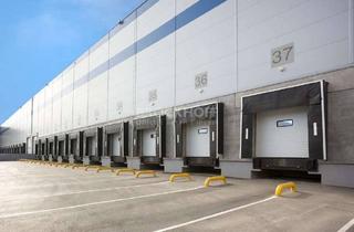 Büro zu mieten in 45699 Herten, Herten-Süd | ca. 18.000 m² Hallenfläche + ca. 600 m² Bürofläche | Mietzins auf Anfrage