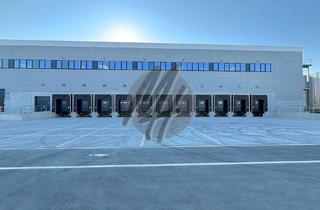 Büro zu mieten in 48432 Rheine, NEUBAU / ERSTBEZUG ✓ RAMPE + EBEN ✓ WGK-3 ✓ Lager-/Logistik (8.000 m²) & Büro (500 m²)