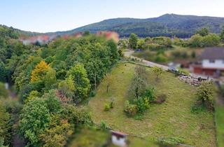 Grundstück zu kaufen in 76597 Loffenau, Schönes, großes Grundstück in Hanglage mit traumhaftem Ausblick