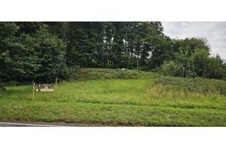 Grundstück zu kaufen in 56459 Stahlhofen, Idyllisches Baugrundstück in Stahlhofen