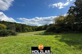 Grundstück zu kaufen in Auf Der Held, 53567 Buchholz, IHR BAUGRUNDSTÜCK - IM GRÜNEN MIT GUTER ANBINDUNG IN BUCHHOLZ SEIFEN