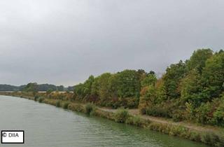 Grundstück zu kaufen in 31717 Nordsehl, AUKTION - drei vertragsfreie Gehölzflächen am Mittellandkanal