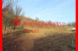 Grundstück zu kaufen in 66887 Ulmet, Traumhaftes Baugrundstück in sonniger Wohnlage