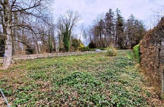 Grundstück zu kaufen in Seeshaupter Straße, 82347 Bernried, Grundstück am Starnberger See in Bernried