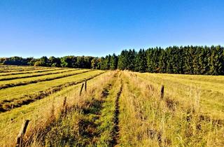 Grundstück zu kaufen in 58509 Lüdenscheid, Investition mit Weitsicht / Ländliches Flair und dennoch mitten in der Stadt