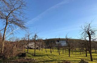 Wohnung mieten in 77770 Durbach, Naturnah wohnen: 4-Zimmer-Wohnung mit Terrasse und Garage in Durbach