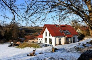 Haus kaufen in 93161 Sinzing, Neuwertiges EFH mit ELW und Büro, eingebettet in Naturschutzgebiet - einmalige Gelegenheit