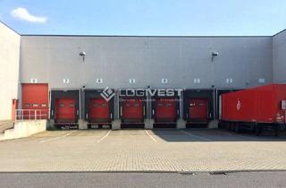 Gewerbeimmobilie mieten in 04720 Döbeln, Flexible Logistikhalle in verkehrsgünstiger Lage direkt an der A14!