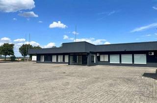 Gewerbeimmobilie mieten in Eichbaumstraße 17, 63674 Altenstadt, Top-Gewerbehalle zur Vermietung – flexibel nutzbar als Ausstellungs-, Veranstaltungs- oder Gewerbefl