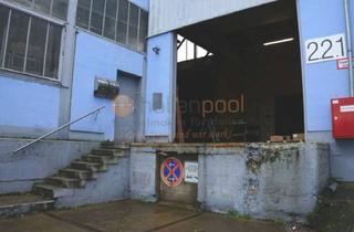 Büro zu mieten in 56564 Neuwied, Lagerhalle ca. 2.000 m² m. Büro ca. 70 m² , zentrale Lage, in 56564 Neuwied PROVISIONSFREI zu verm.