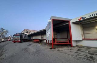 Gewerbeimmobilie mieten in Sonnenstr., 85764 Oberschleißheim, Lagerfläche mit Stromanschluss im UG von ca. 79,42 m² mit Lastenaufzug und LKW-Ladezonen