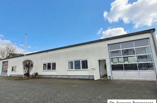 Büro zu mieten in 56170 Bendorf, Produktions- oder Lagerhalle mit 2 Büros in zentraler Lage von Bendorf! Teilung möglich!