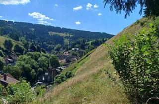 Grundstück zu kaufen in 38709 Wildemann, Bergwiese im Landschaftsschutzgebiet in Wildemann, Landkreis Goslar