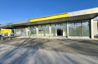 Gewerbeimmobilie mieten in 64646 Heppenheim, +++ Große Verkaufsfläche mit Halle und Lager in bester Lage +++