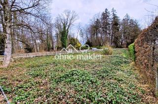 Immobilie kaufen in Seeshaupter Straße, 82347 Bernried, Grundstück am Starnberger See in Bernried