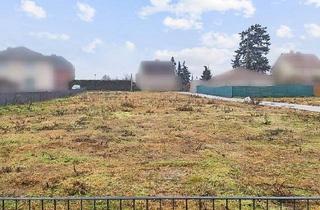 Immobilie kaufen in 14550 Groß Kreutz, Ruhig gelegenes Baugrundstück für Ihr individuelles Einfamilienhaus in Groß Kreutz (Havel)