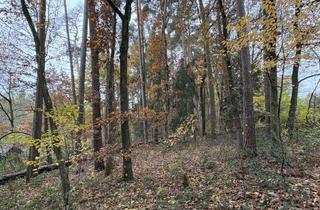 Immobilie kaufen in 91785 Pleinfeld, Mischwald nähe Pleinfeld