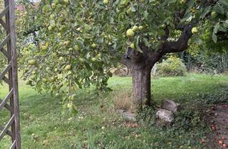 Immobilie kaufen in 04668 Otterwisch, Ruhe Genießen! ÖPNV Anbindung unweit vorhanden