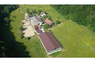 Haus kaufen in 73054 Eislingen, Eislingen (Fils) - Reitanlage Pferdehof mit Gutachten provisionsfrei