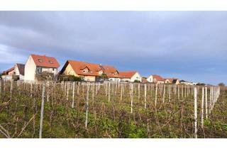 Haus kaufen in 67482 Freimersheim, Freimersheim (Pfalz) - wunderschönes Zweifamilienhaus in idyllischer Lage | von privat