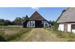Bauernhaus kaufen in 23936 Grevesmühlen, Grevesmühlen - Bauernhaus Resthof in schöner Lage