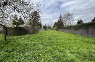 Haus kaufen in 99998 Weinbergen, Mühlhausen/Thüringen - Unabhängigkeit und Nähe - beides ideal kombiniert im Town & Country Doppelhaus in Grabe