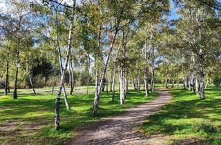 Wohnung kaufen in Gleimstraße 60, 10437 Prenzlauer Berg, Mauerpark-Investment: Beste Lage & attraktiver Preis
