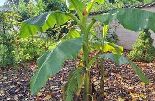 Wohnung mieten in Feldstr. 12 a, 50126 Bergheim, Ruhige OG Wohnung mit Balkon. Energiesparhaus KfW 40+