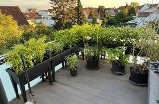 Penthouse mieten in Ziegelstr. 24, 68766 Hockenheim, Luxuriöses 4-Zimmer Penthouse mit Süd-Balkon in Hockenheim