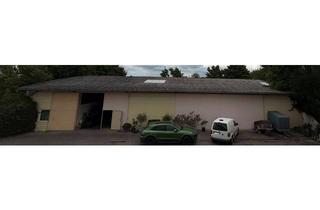 Gewerbeimmobilie mieten in 55270 Sörgenloch, wärmeisolierte Produktions- und Gewerbehalle Nähe Mainz / Nieder-Olm